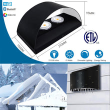 Load image into Gallery viewer, Smart RGB and Double White Outdoor Wall Sconces, WiFi Modern Wall Lights with App &amp; Voice Control, Music Sync, IP65 Waterproof Up Down Lights for Indoor or Outdoor Porch Patio Garage